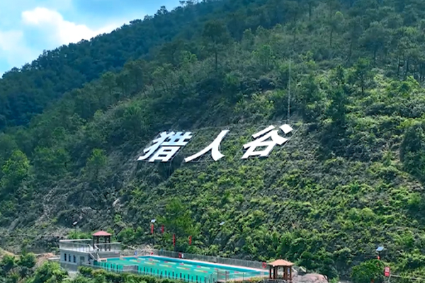 fusione della valvola a saracinesca